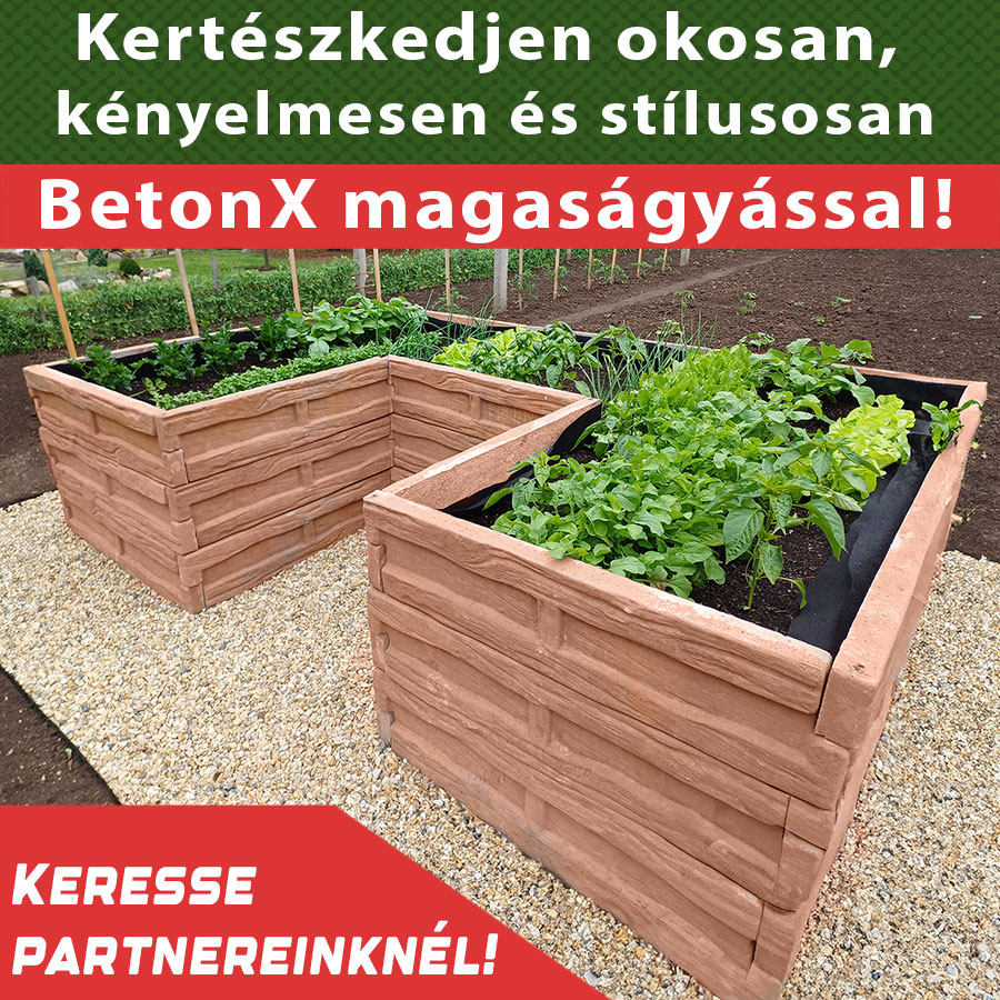 Könnyen összeszerelhető BetonX magaságyások